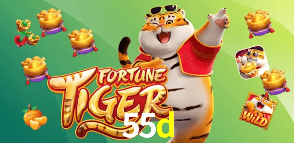 Experiência Cassino 55d